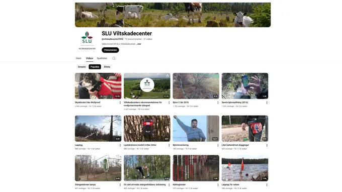 Bild från Viltskadecenters YouTube-kanal