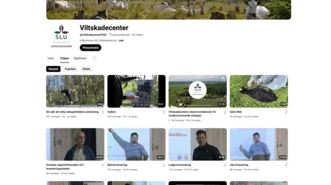 Tre rader med flera små startbilder av VSCs filmer.