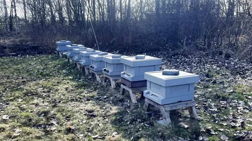 bikupor med kupvåg
