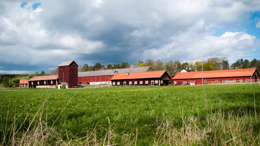 En bondgård på avstånd med faluröda byggnader.
