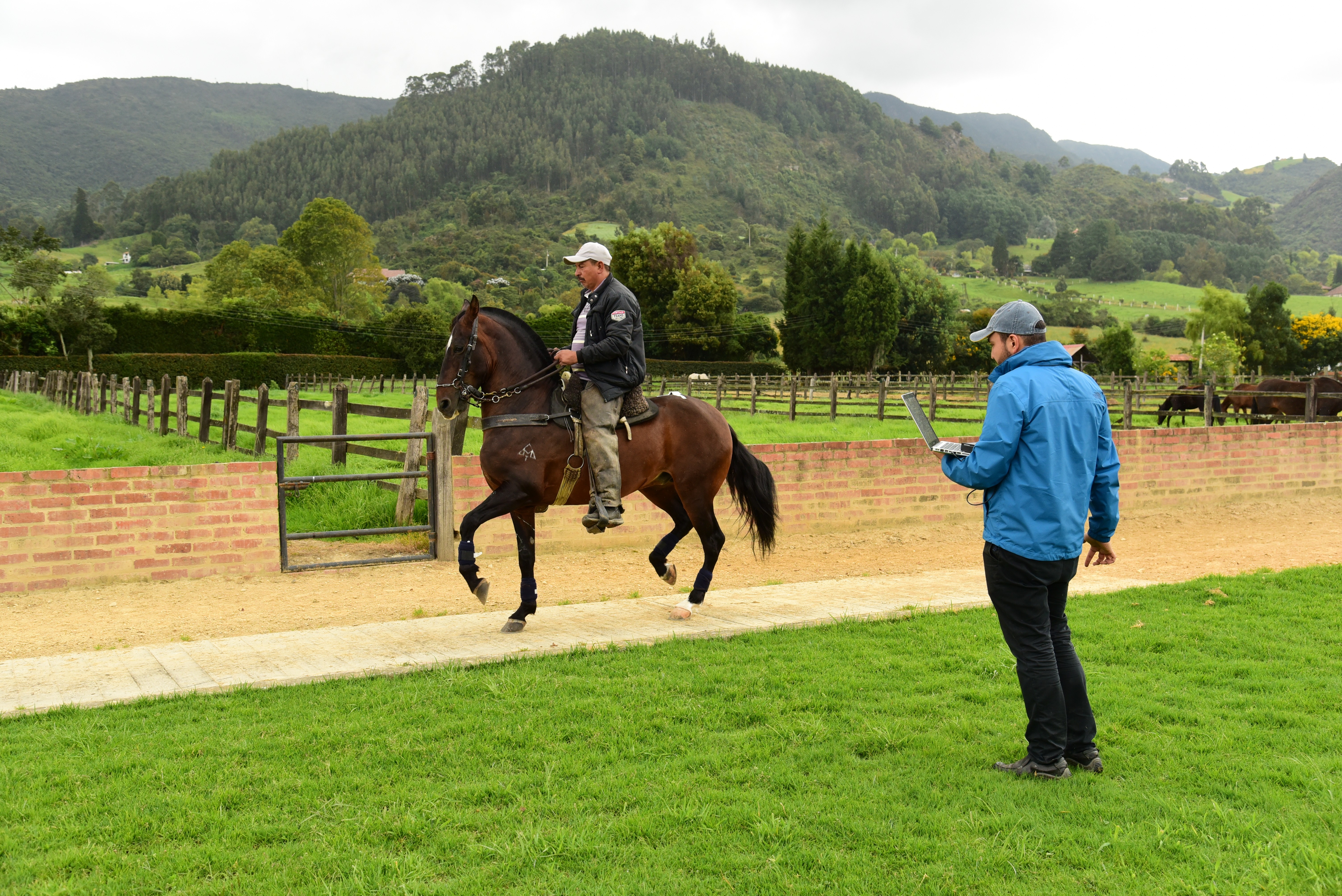 Photo of a man standing next to a computer screen while measurements are taken of the movements of a horse being ridden by a rider outdoors.