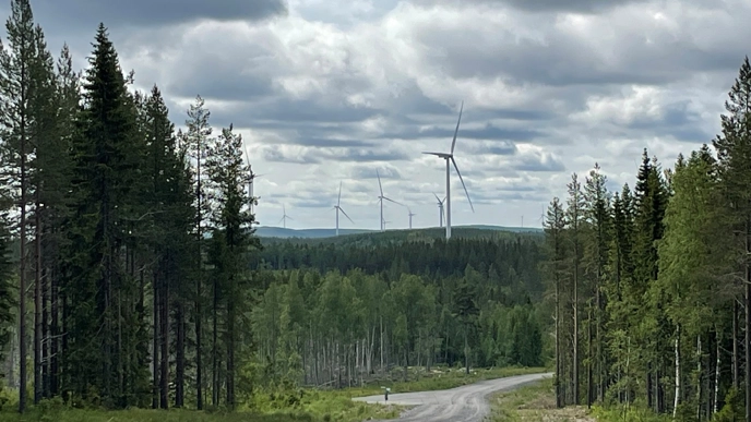 Bilden visar vindkraftverk i ett skogslandskap