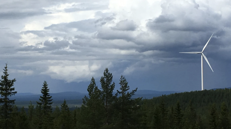 windpower in the forest