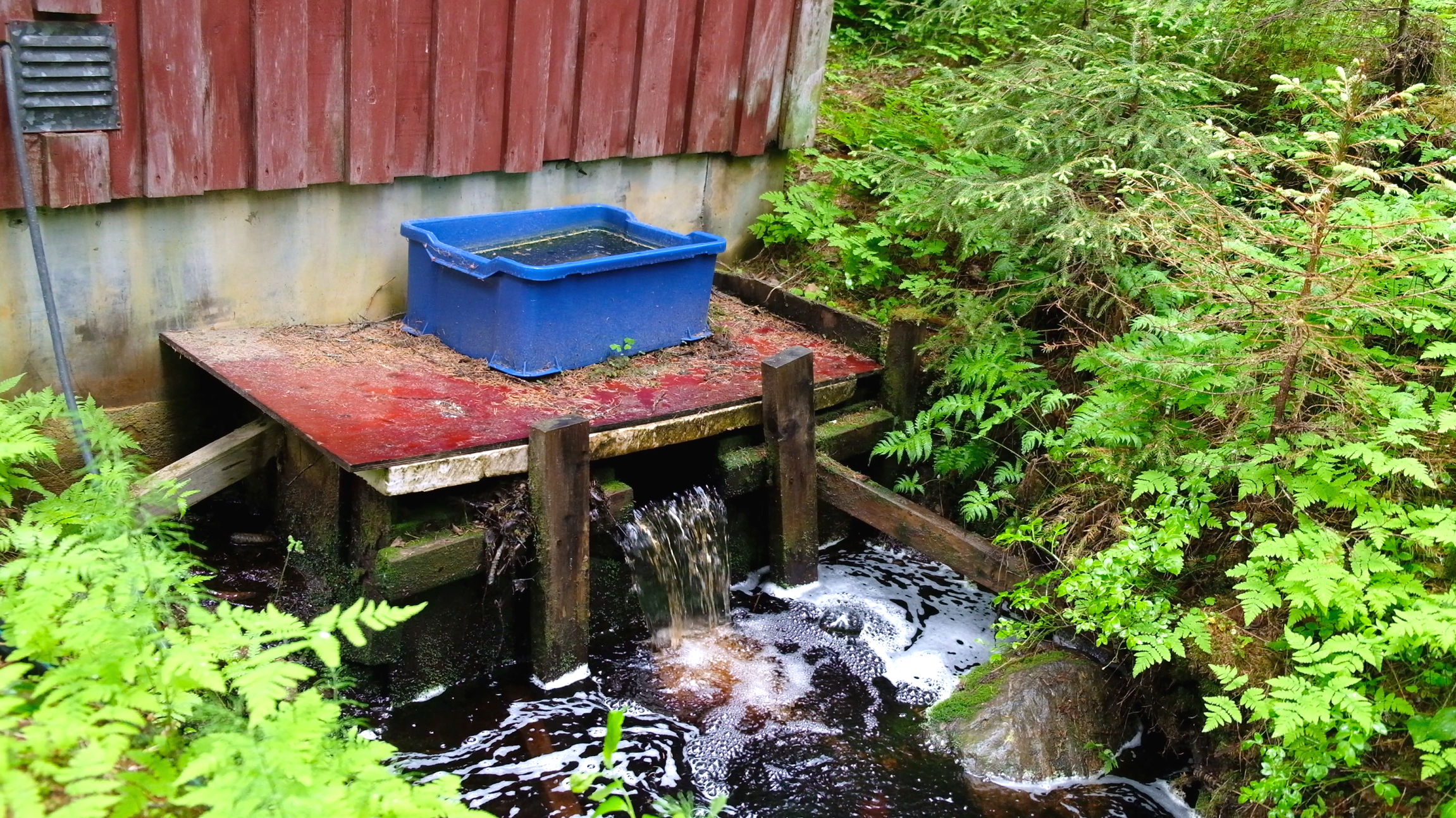 Measurements of chemicals, carbon and other water contents have been ongoing in the Krycklan Catchment for many decades. Image: Daniel Stjärna, SLU.