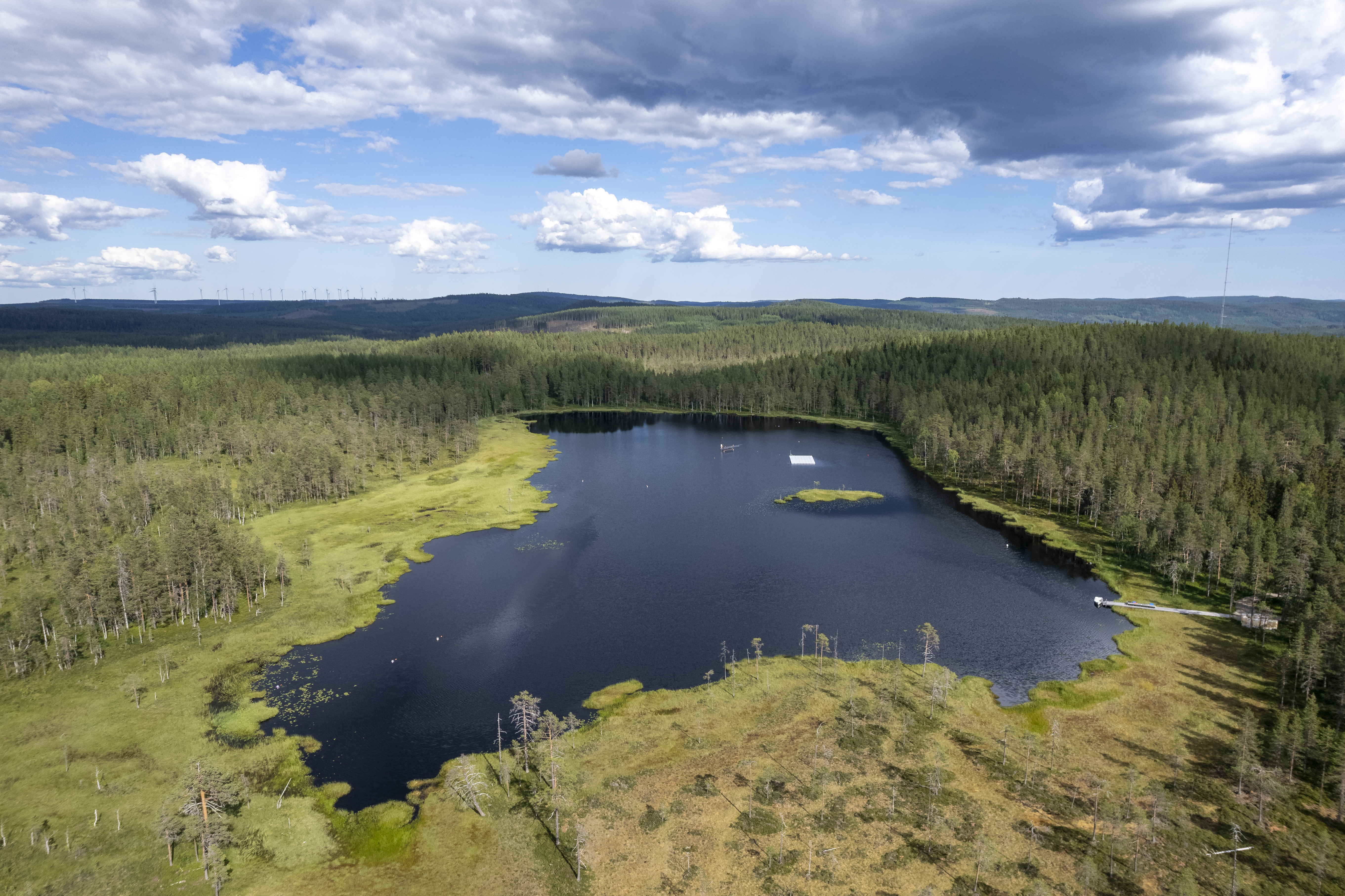 The forms and amounts of carbon in the water is constantly changing during its journey through the catchment. Photo: Andreas Palmén.