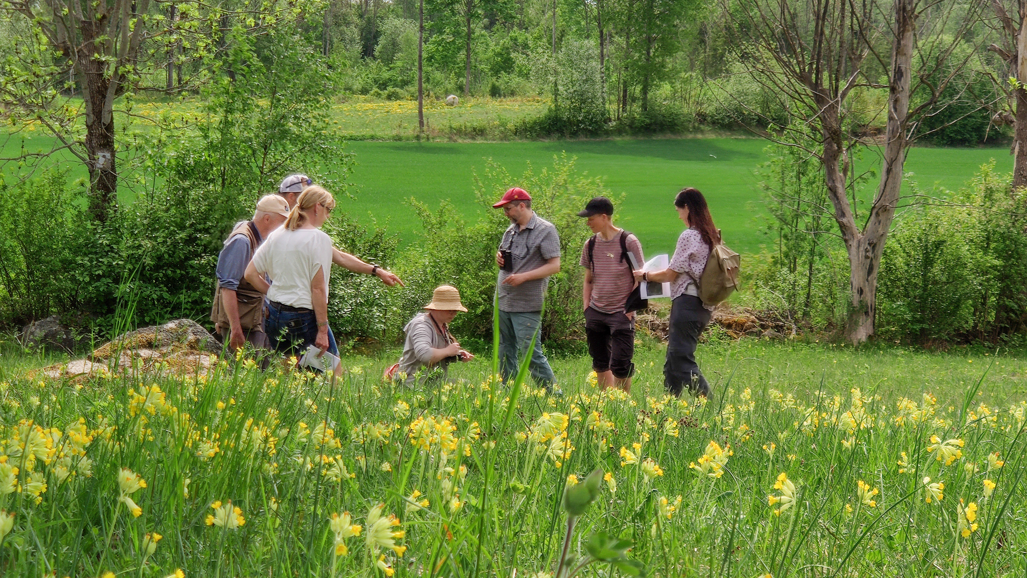 Samling av människor tittar på något på en äng i ett naturområde. Foto