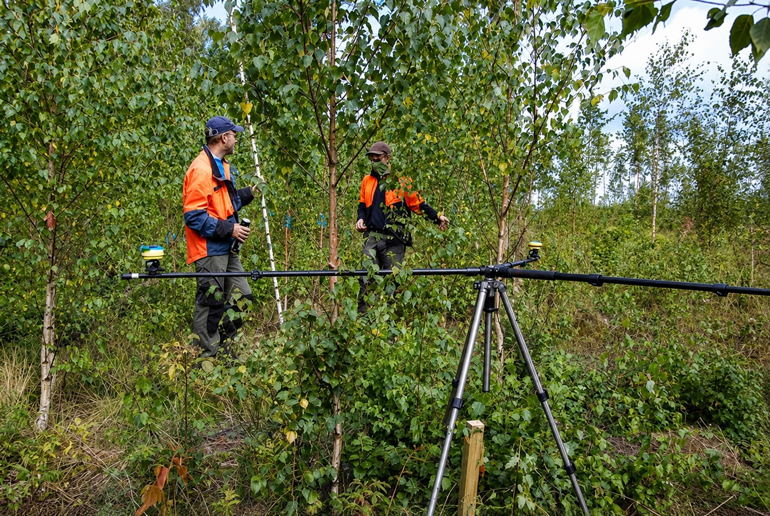 two men out on a field excursion in the forest 