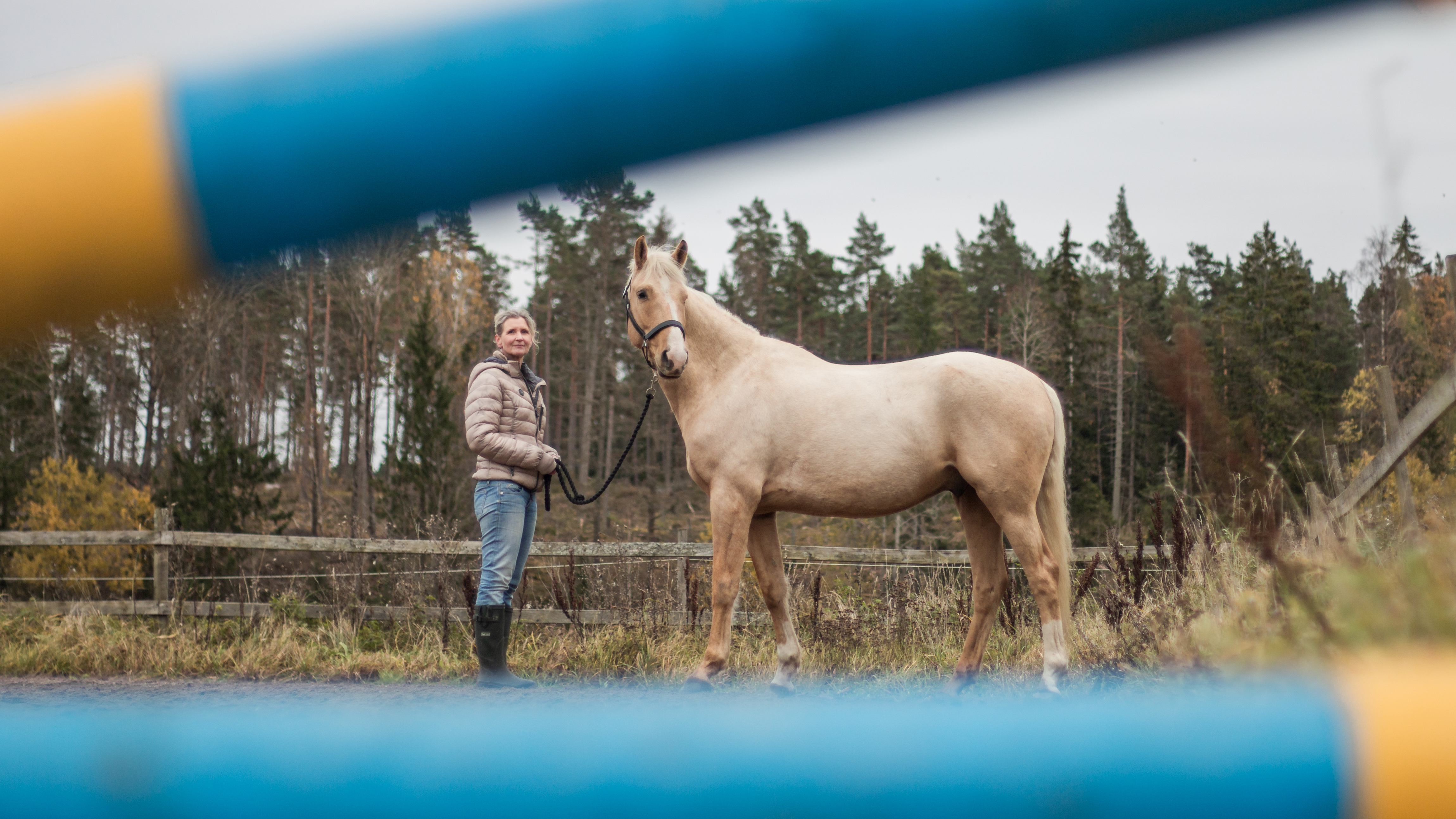 Foto av en kvinna (Åsa Gelinder Viklund) ´ståendes på en ridbana bakom ett hopphinder tillsammans med en häst.