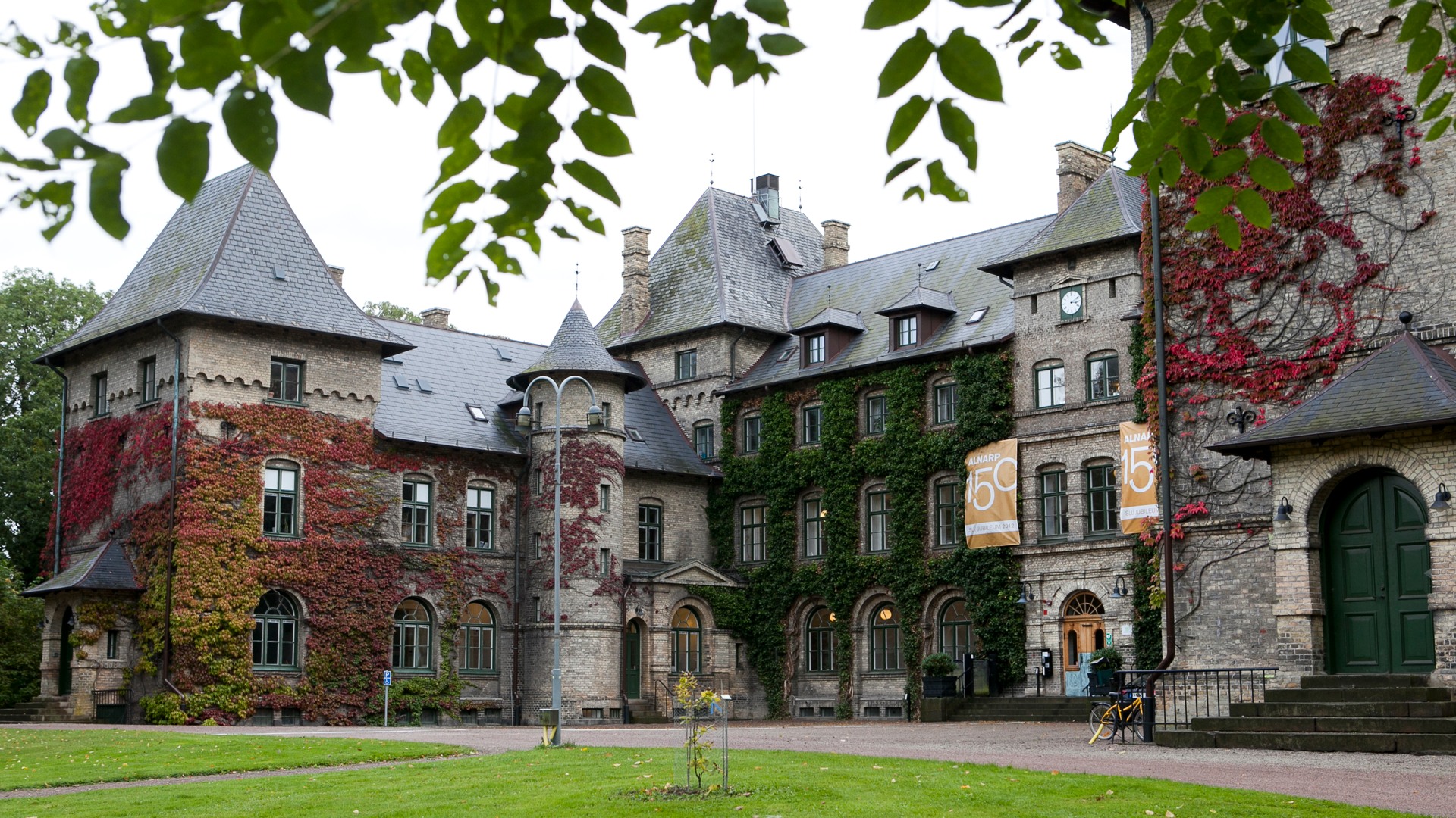 A castle with plants growing on it. Photo.