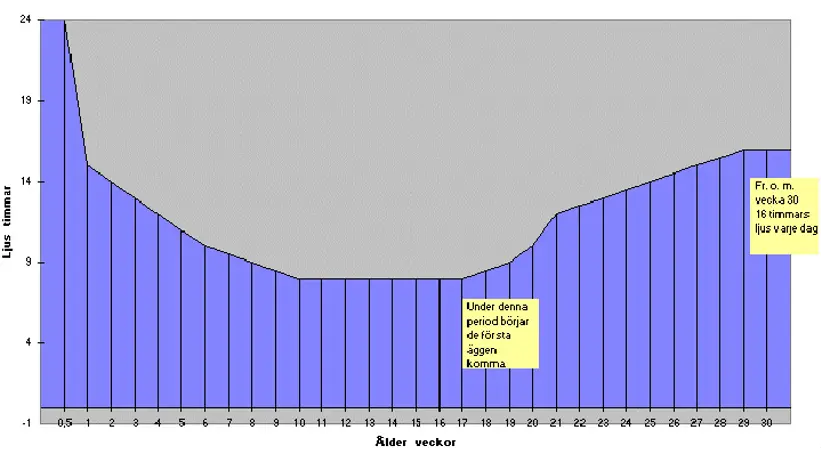 Diagram över ett ljusprogram. Skiss med hur många timmar per dag ljuset är på beroende på djurens ålder.