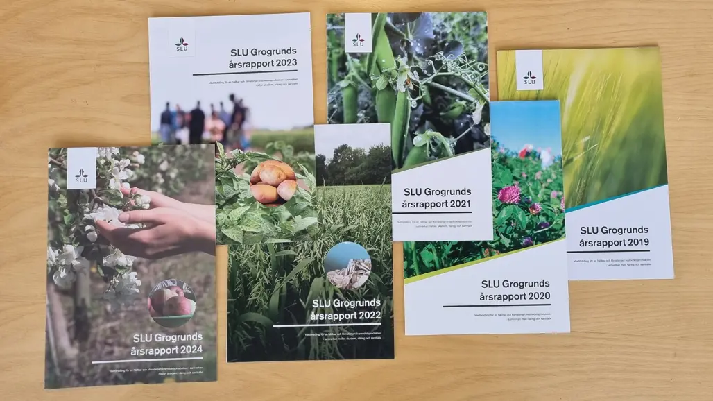 Sex årsrapporter från SLU Grogrund, 2019 till2024, ligger på ett bord.
