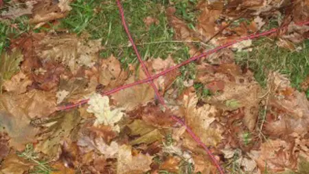 Två snören på marken