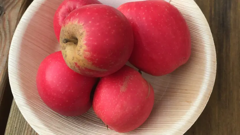 Närbild av fyra röda äpplen som ligger i en träskål. Skålen står på ett bord av trä.