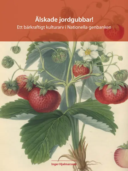 På omslaget av boken är en äldre illustration av en jordgubbsplanta.