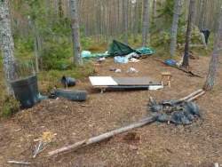 Ingen rolig syn för en markägare. Foto: Alf Olsson