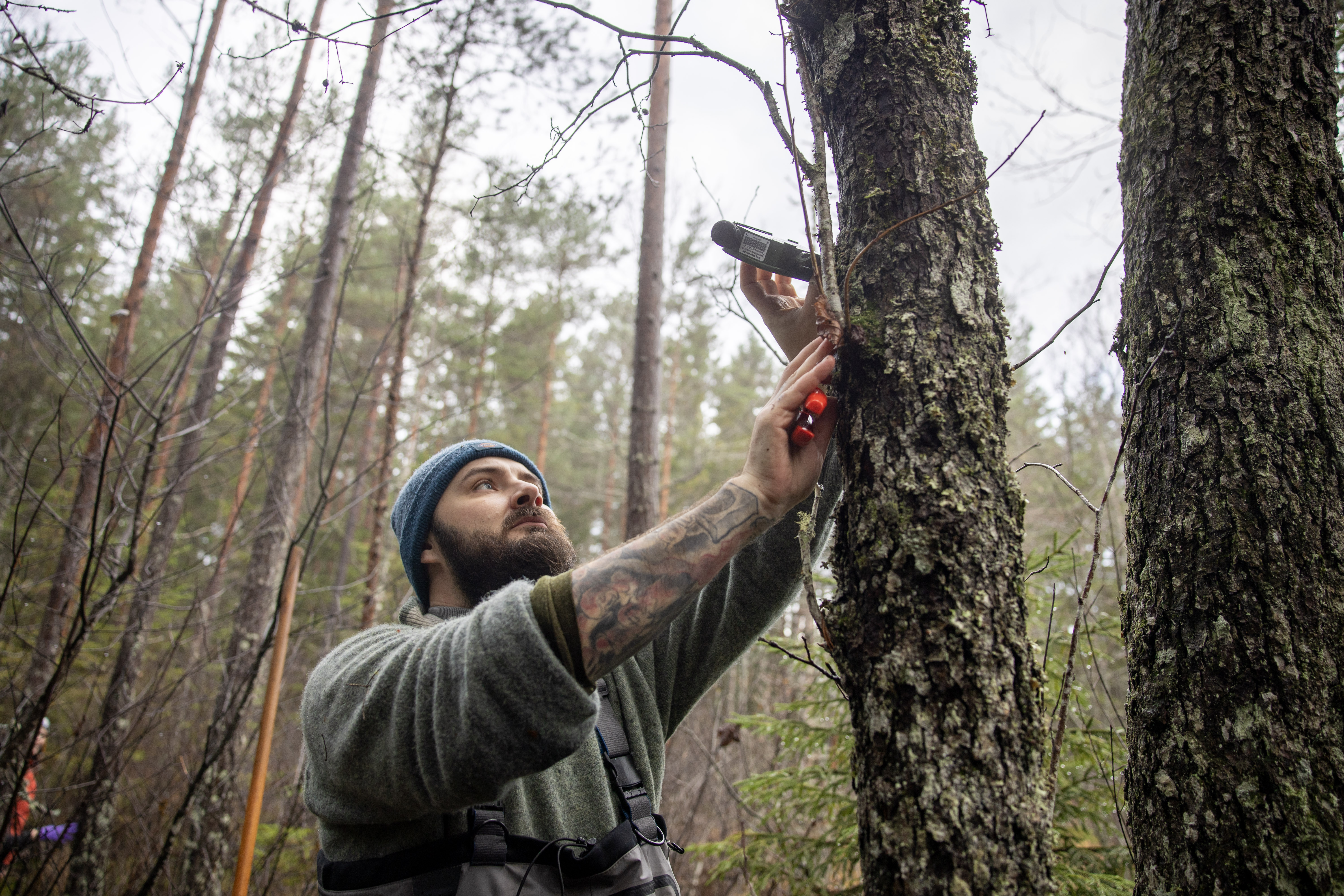 PhD-student Ernie Haglund inspects one of the microphone equipped boxes. Photo: Susanna Bergström/SLU.