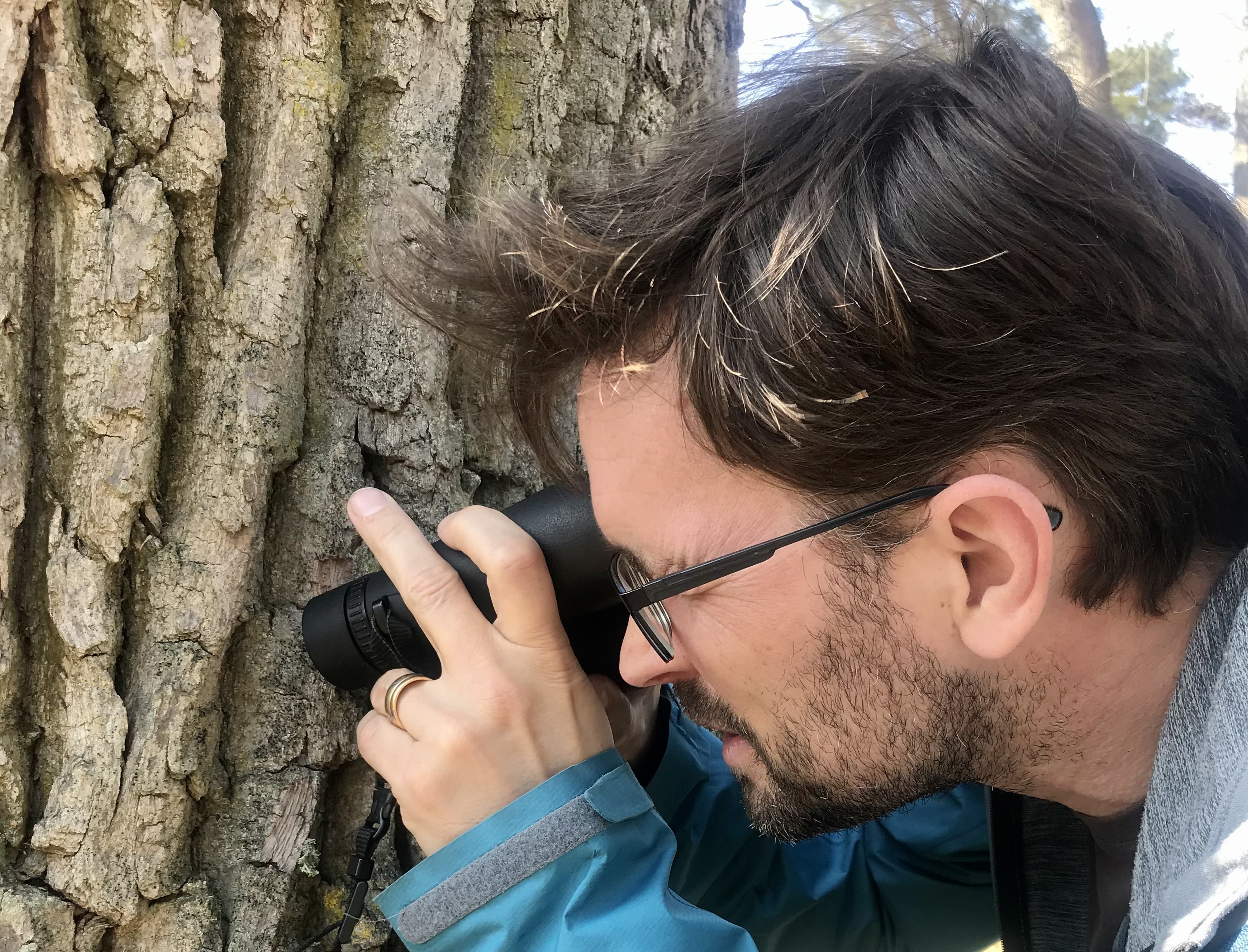 En man tittar på ett träd