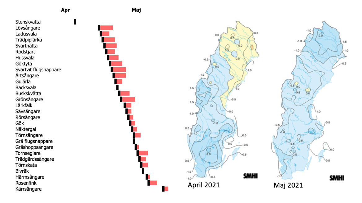 Karta och tabell med namn på tropikflyttare. 