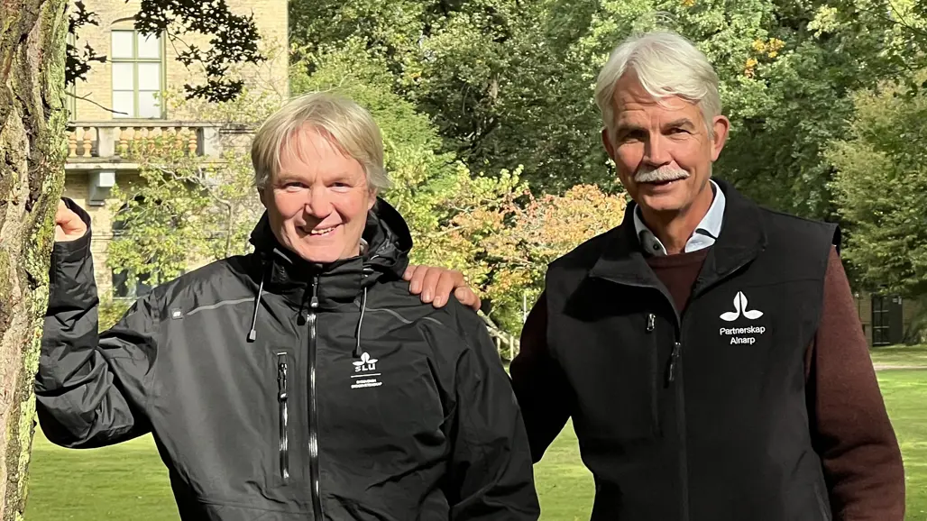 två män vid ett träd