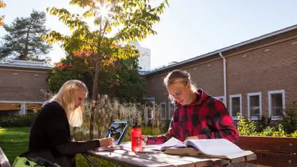 Två studenter pluggar utomhus vid ett träbord på Campus Umeå en solig höstdag, omgivna av höga gräs och träd med färgskiftande löv.