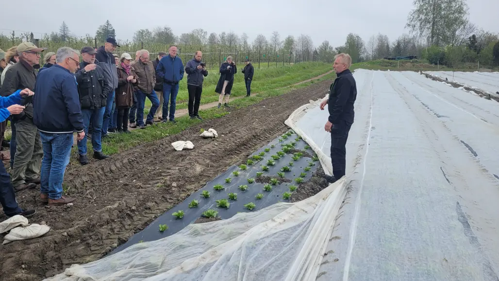 En grupp människor står i ett fält med grönsaksodling och lyssnar på en lantbrukare