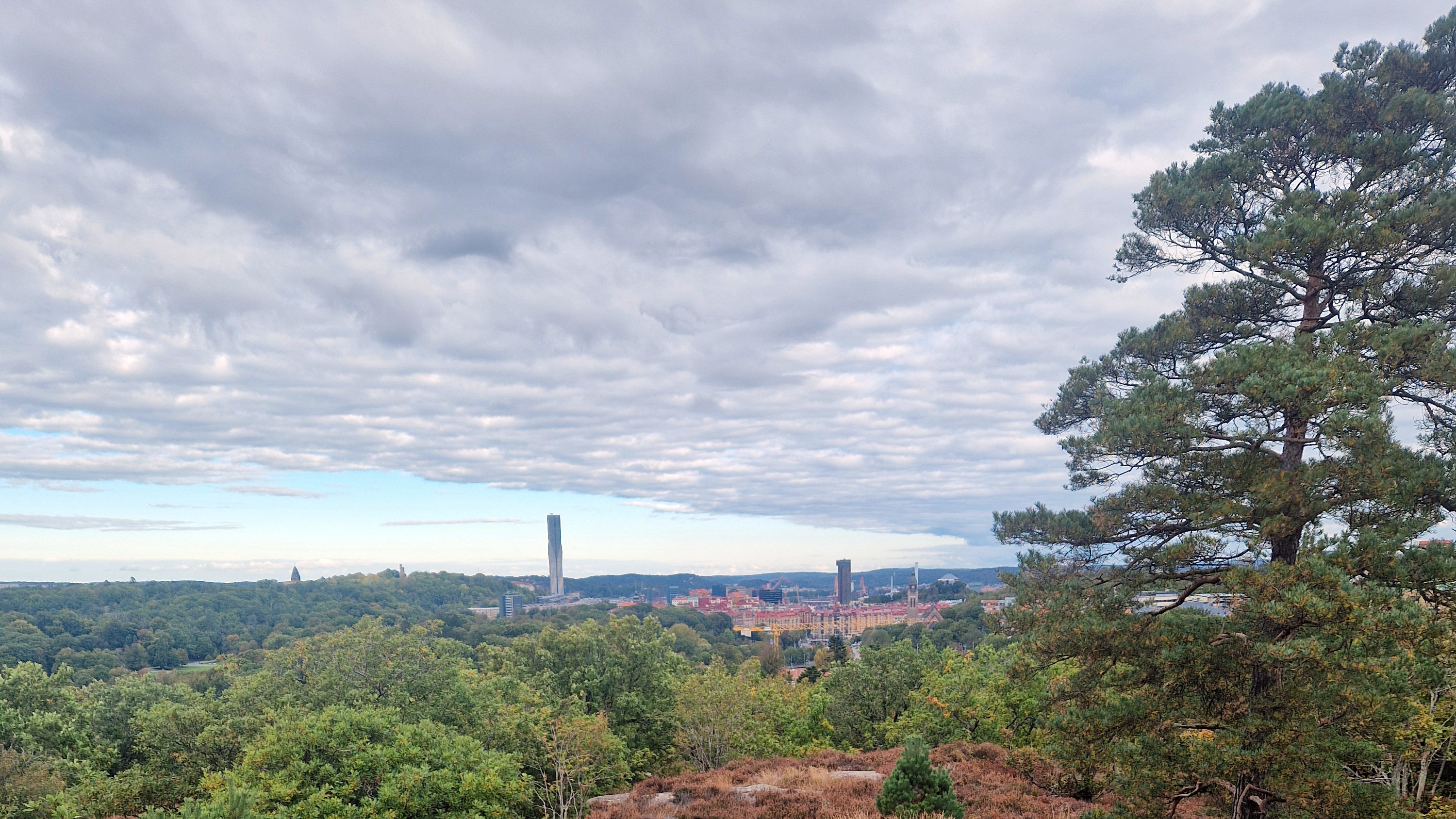 Landskap. Foto.