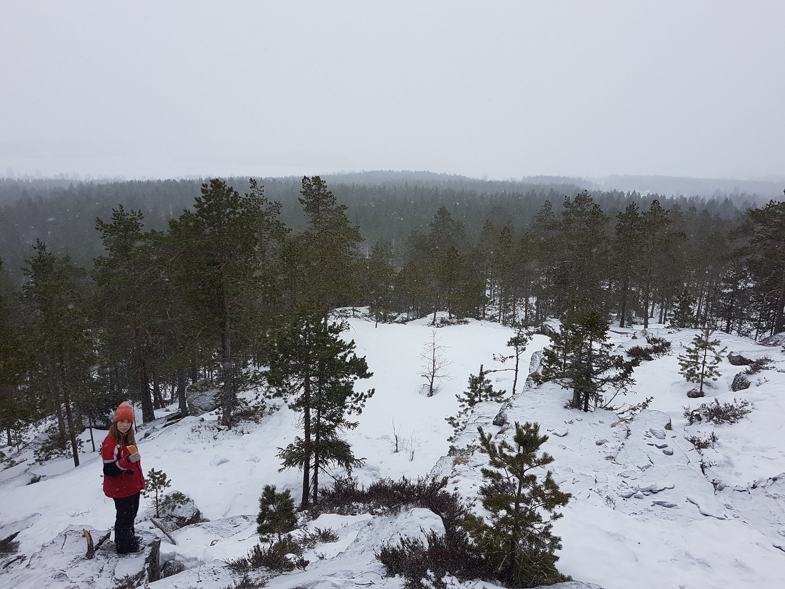 Foto: Naturen kan locka turister och arbetskraft från när och fjärran, som här i Tavelsjö (nära Umeå). Marco Eimermann, 2022.