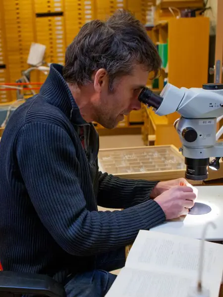 Person looking through a microscope.