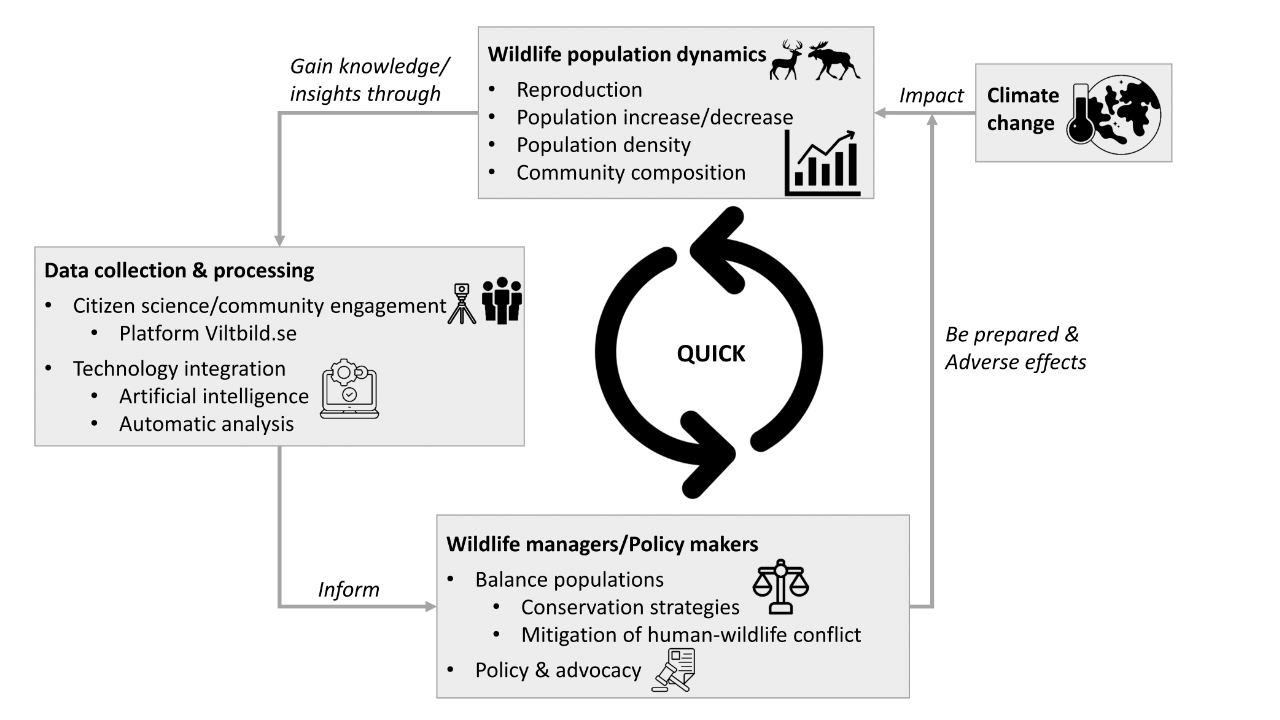A diagram illustrating the project framework.
