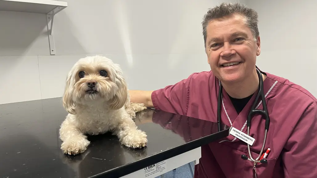 A small white dog on an examination table and a smiling man in red work clothes. Photo.