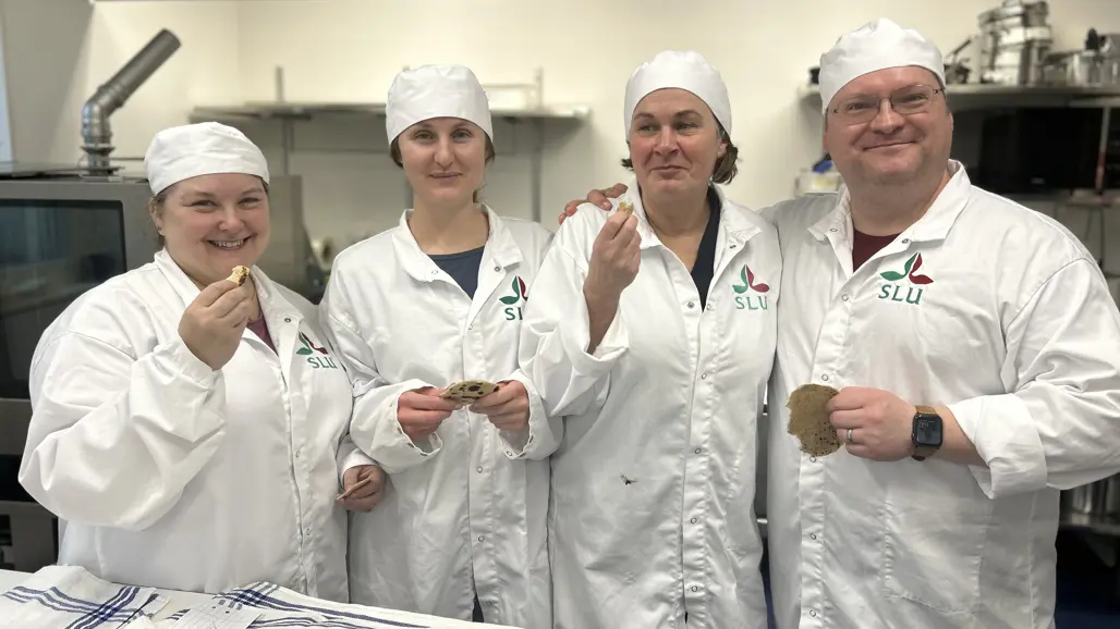 Tre kvinnor och en man provsmakar tortillabröd och ser glada ut