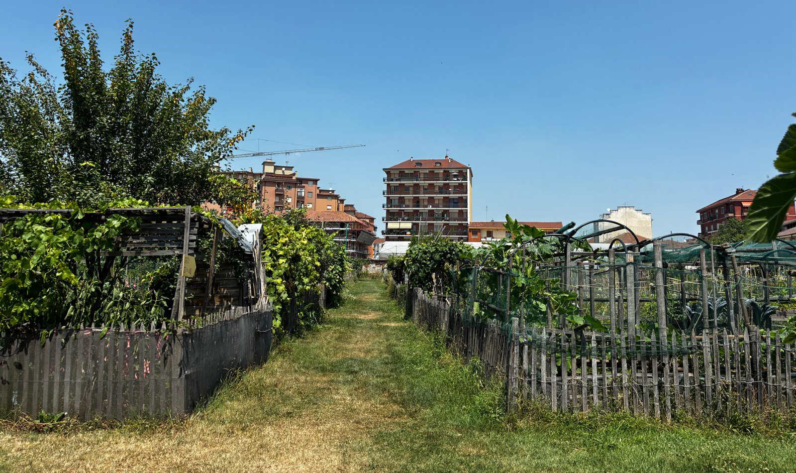 Orti Generali, Torino. Foto: Geovana Mercado