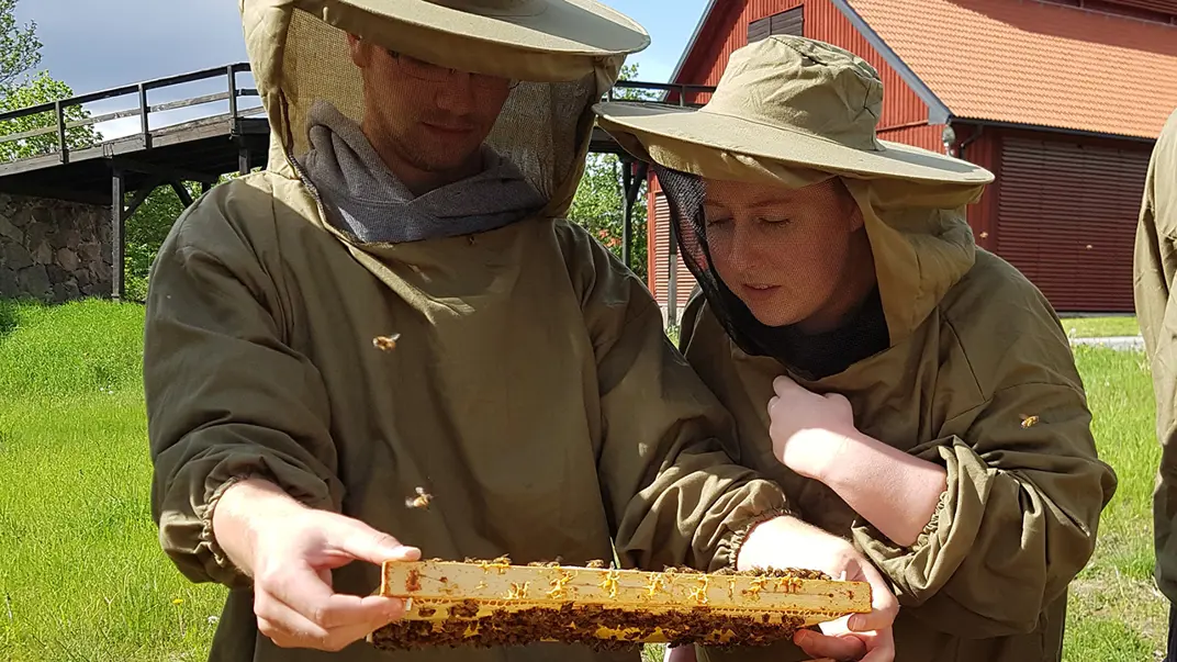 Two people looking at a beehive.