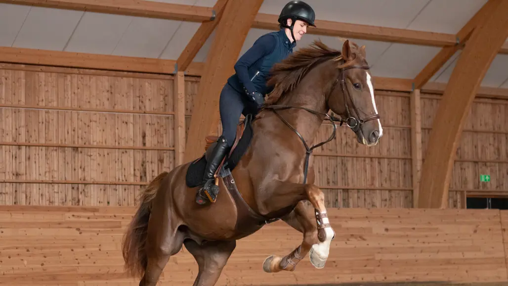 Photo of a female rider (Sandra Bonow, SLU) with a chestnut horse jumping over a hurdle in an indoor riding arena.