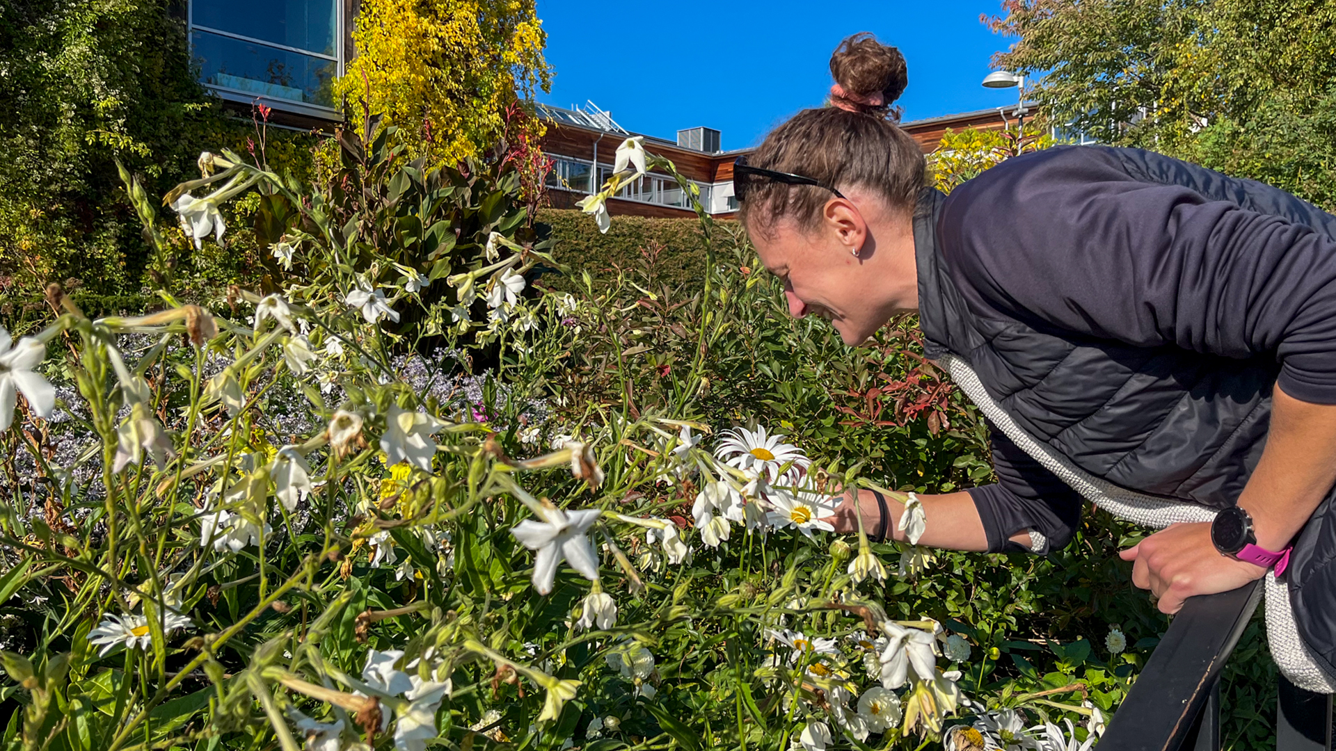 Person som luktar på en blomma.