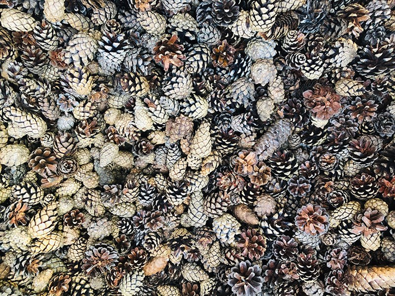 stones