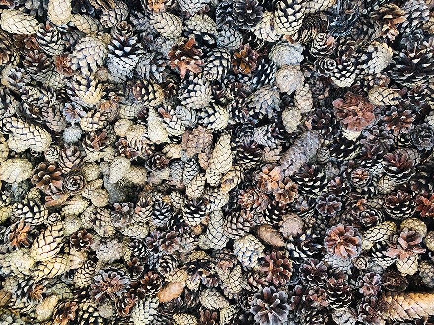 stones