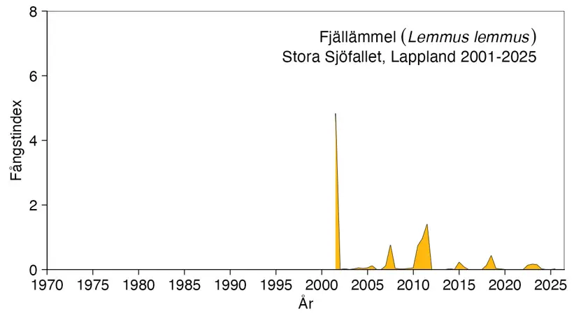 Diagram som visar antalet fjällämlar som fångats.
