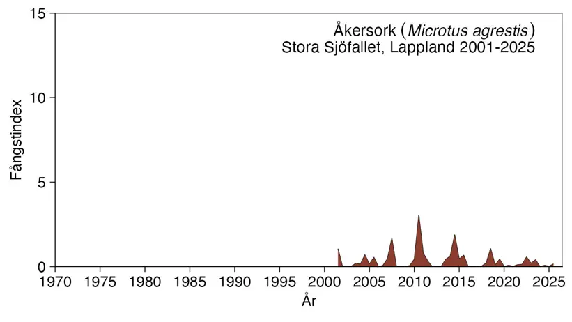 Diagram visar antalet fångade åkersorkar.