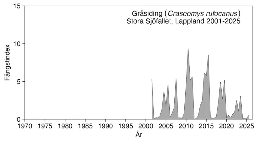 Diagram visar antalet fångade gråsidingar.