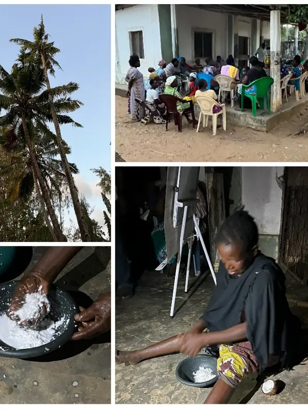 A collage depicting a cocoa tree, an ongoing workshop and a women working with preparing coconut