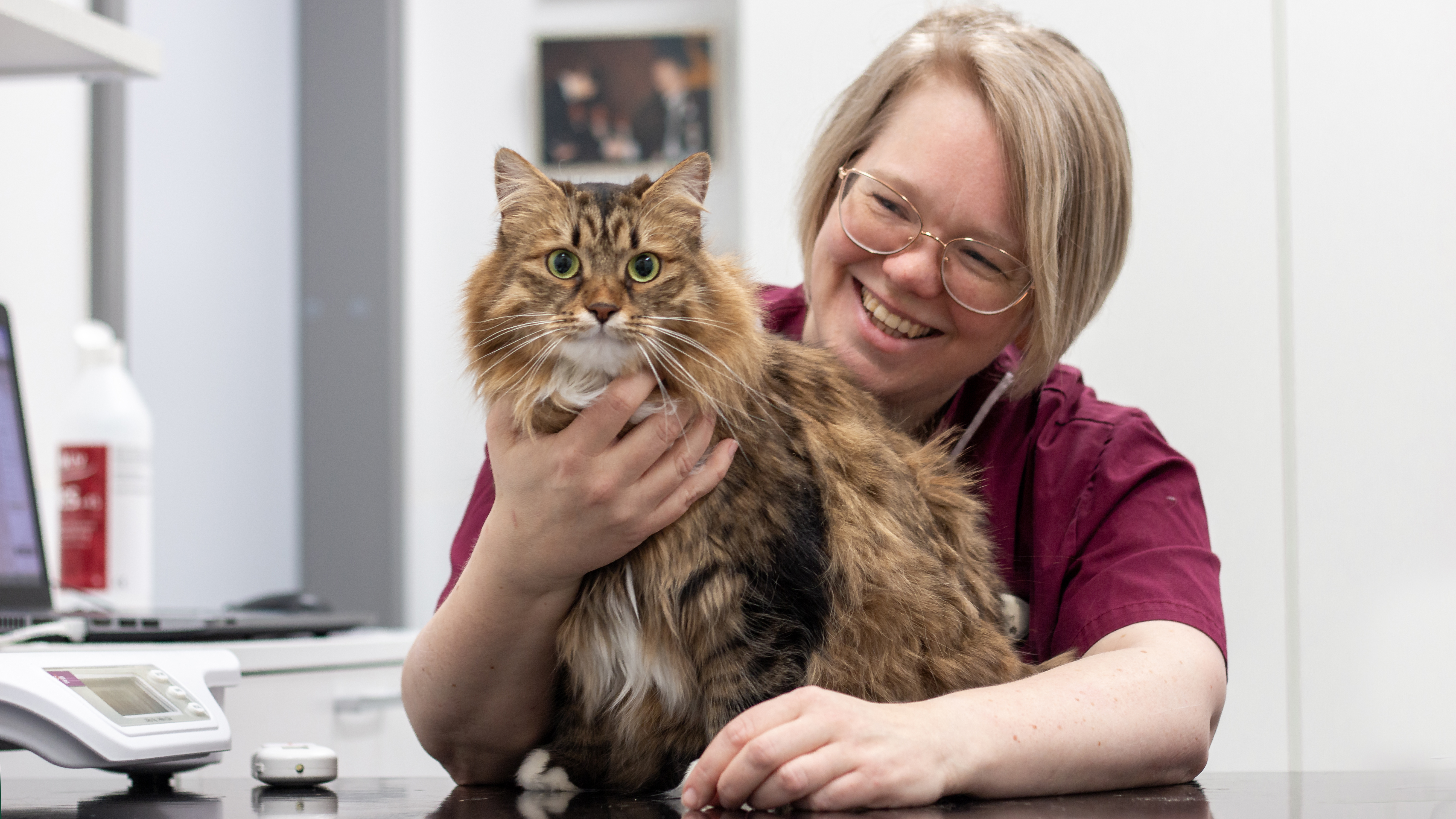 Foto av en kvinnlig djurvårdare (Åsa Ohlsson, SLU) tillsammans med en katt på veterinärkliniken.