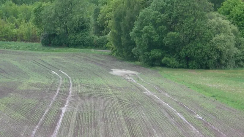 Standing water in a field