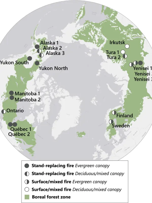 Ecosystem nitrogen stocks were quantified in 18 boreal wildfire chronosequences, comprising 527 stands. Boreal zone from World Wildlife Fund ecoregions (Olson et al. 2001). Map lines delineate study areas and do not necessarily depict accepted national boundaries.