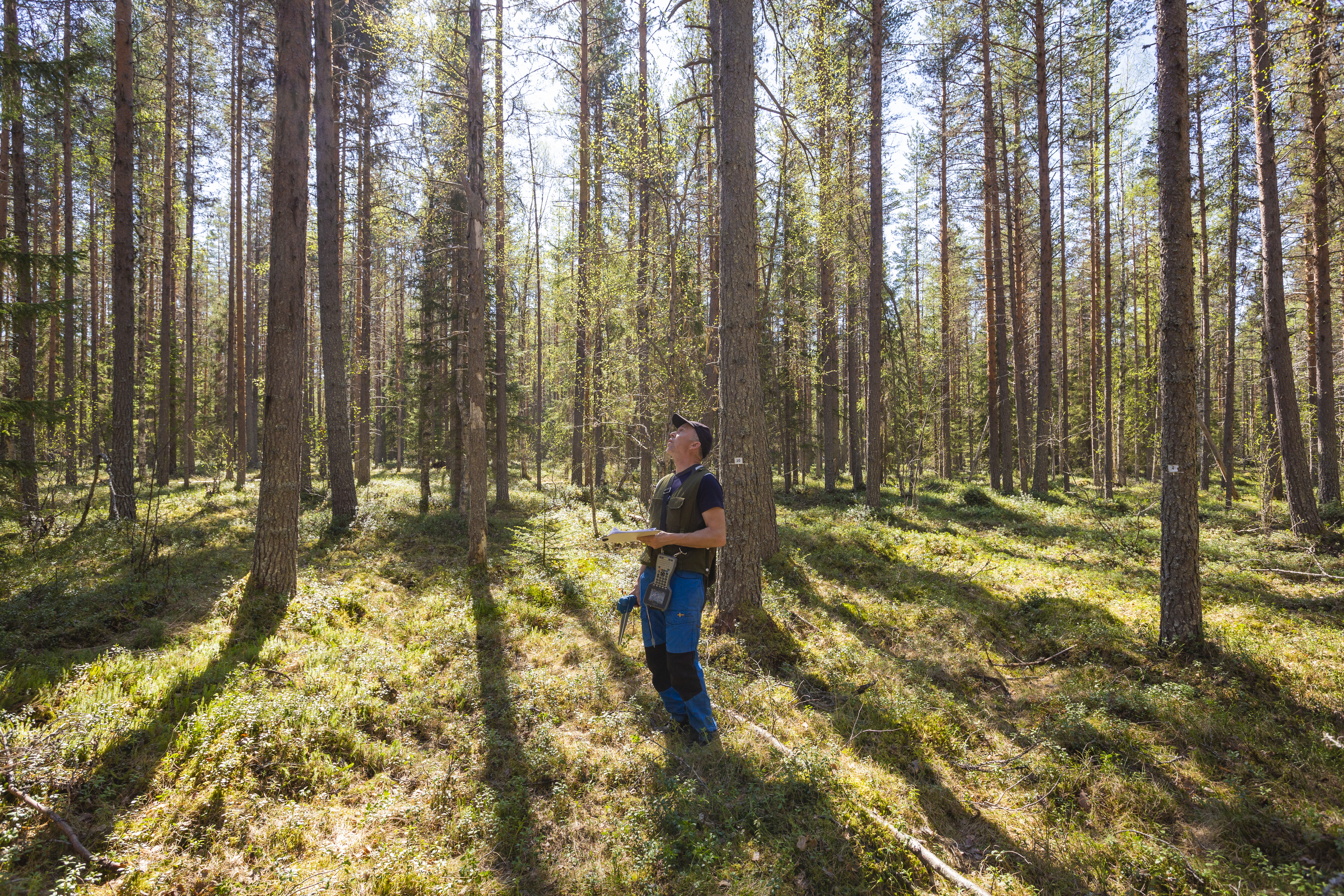 Field workers in the forest collecting data digitally using a field computer. Photo.