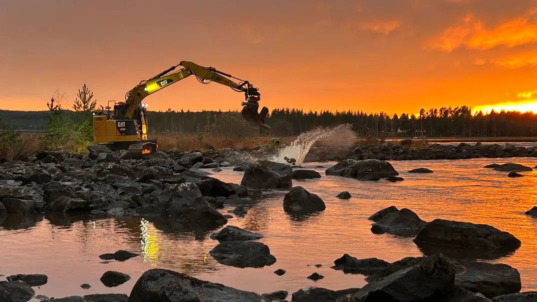 Naturrestaurering i Ljungan. Foto av Åsa Widén.