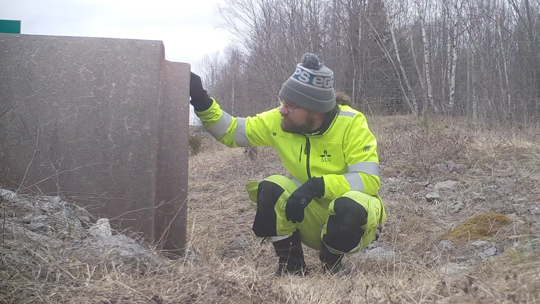 Man i yellow jacket looking into a culvert
