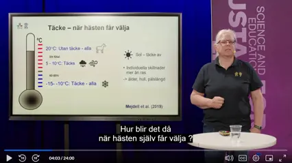 Skärmdump från hästforskarföreläsning med Karin Morgan, SLU.