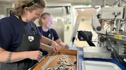 Women measuring fish