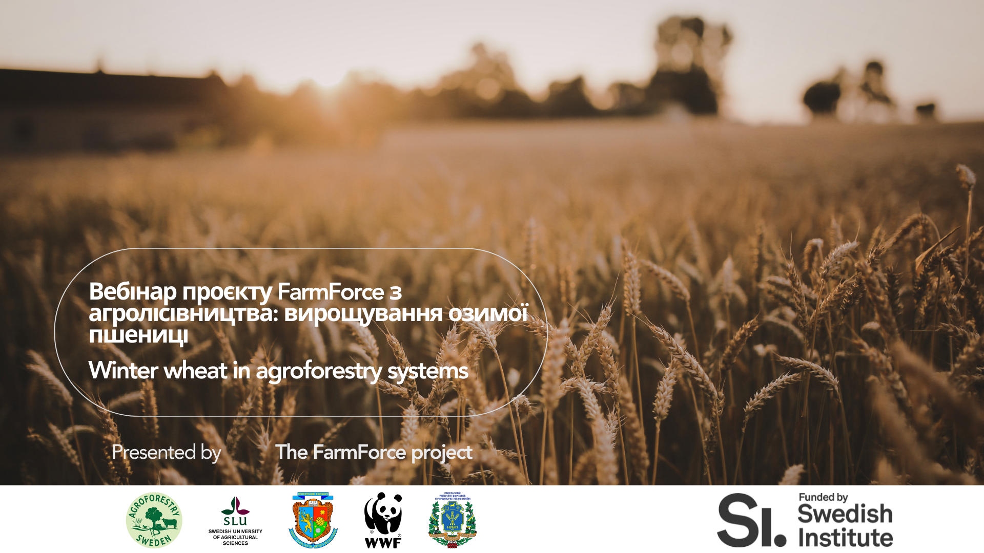A photo showing a wheat field with a farmhouse in the background